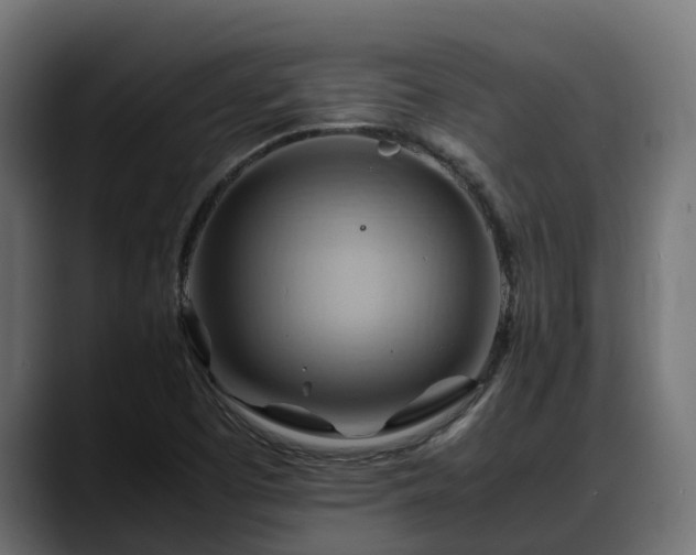 X0000088371457200705291318