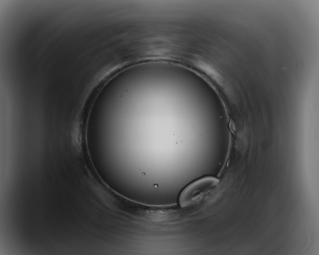 X0000088371458200705291318