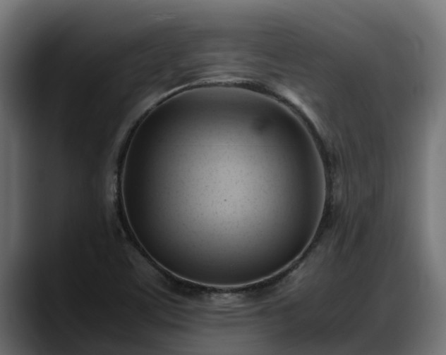 X0000088371459200705291318
