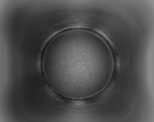 X0000088371460200705291318