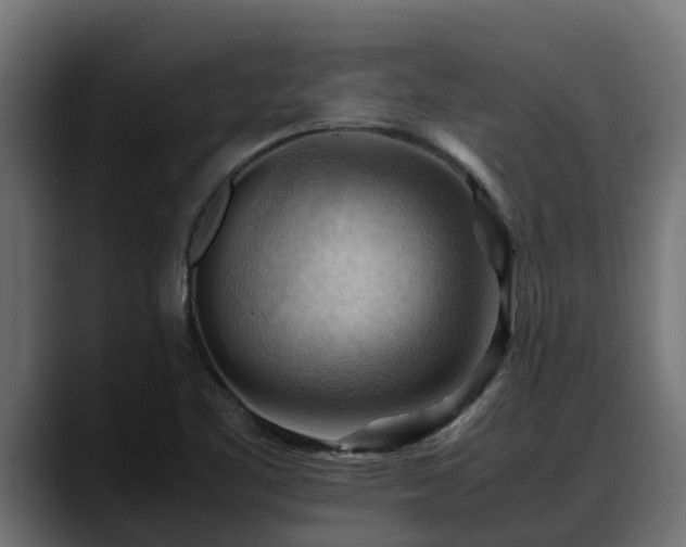 X0000088371461200705291318
