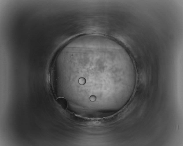 X0000088371462200705291318