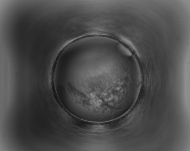 X0000088371463200705291318