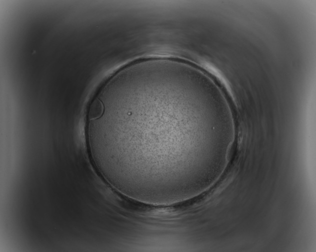 X0000088371464200705291318