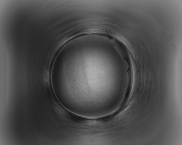 X0000088371465200705291318