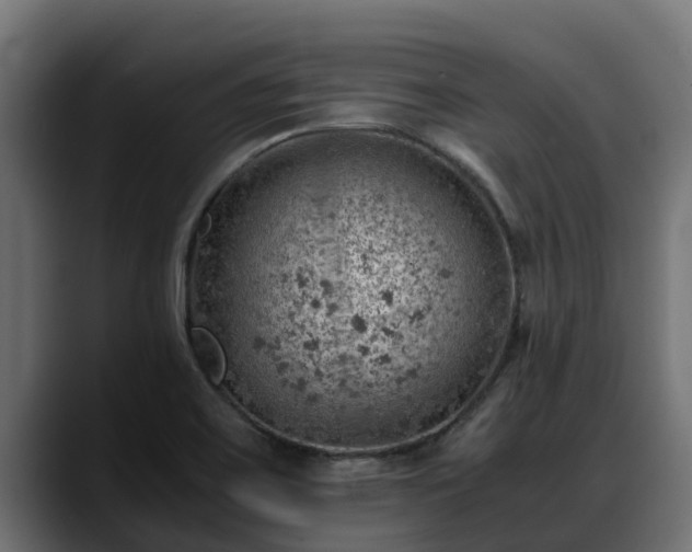 X0000088371467200705291318