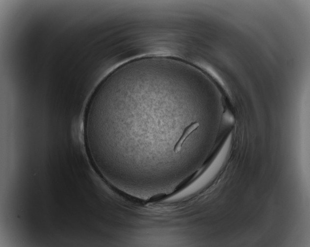 X0000088371468200705291318