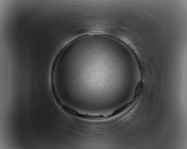 X0000088371469200705291317