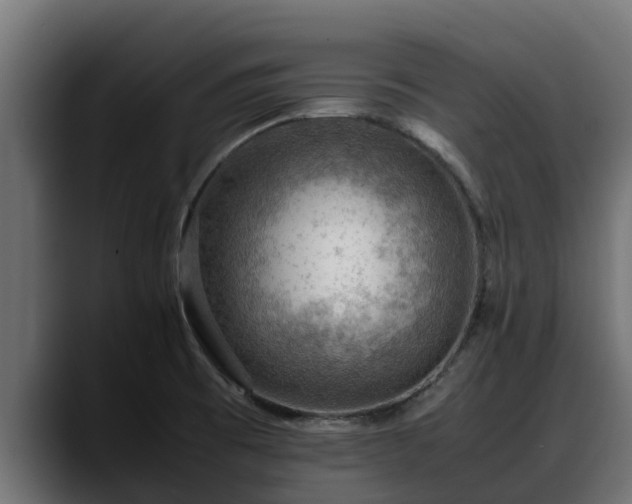 X0000088371473200705291317