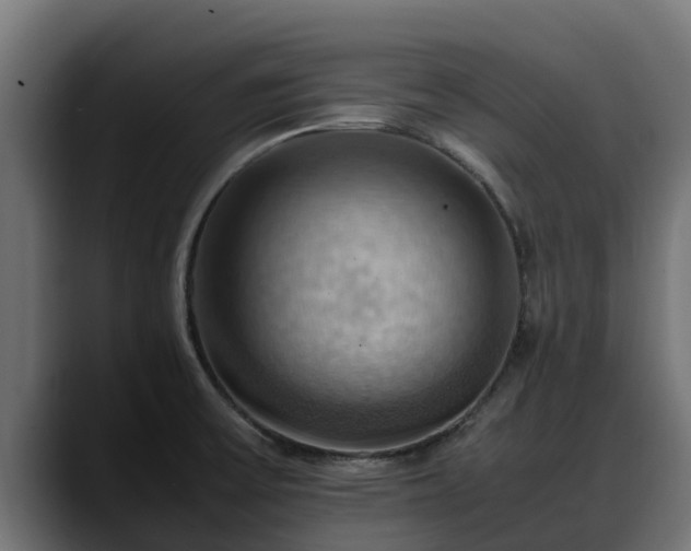 X0000088371475200705291317