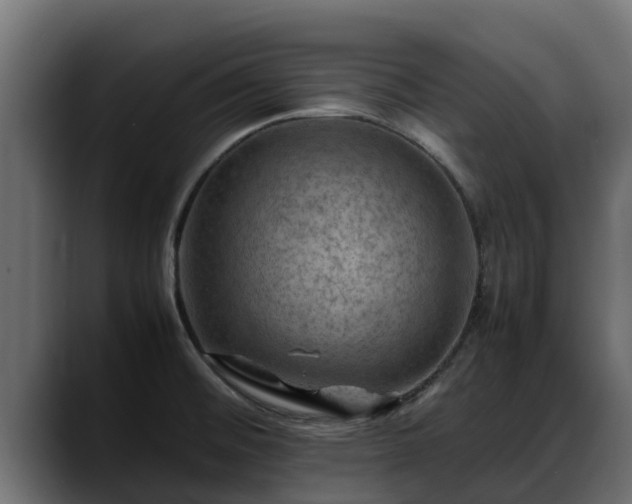 X0000088371476200705291317