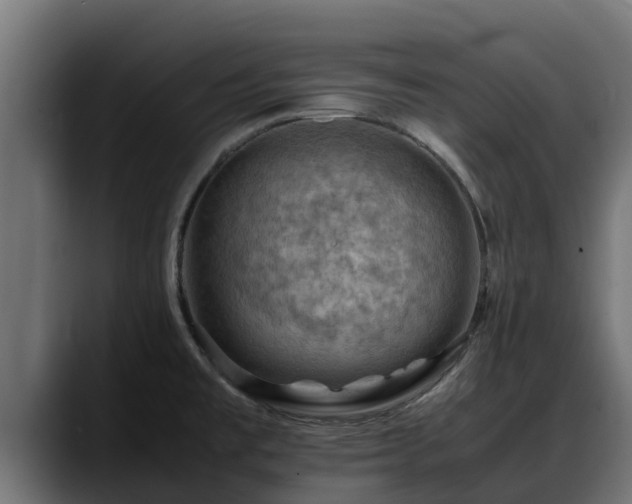 X0000088371477200705291317
