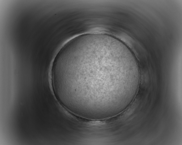 X0000088371478200705291317