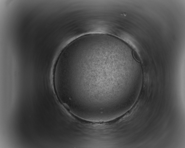 X0000088371480200705291317