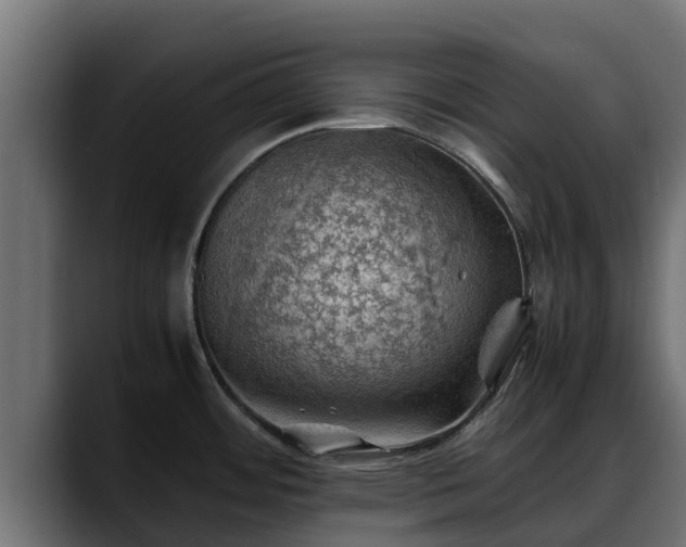 X0000088371484200705291317