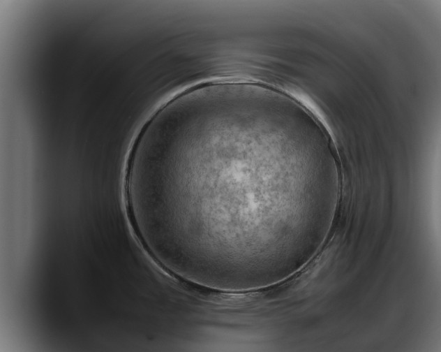 X0000088371485200705291317