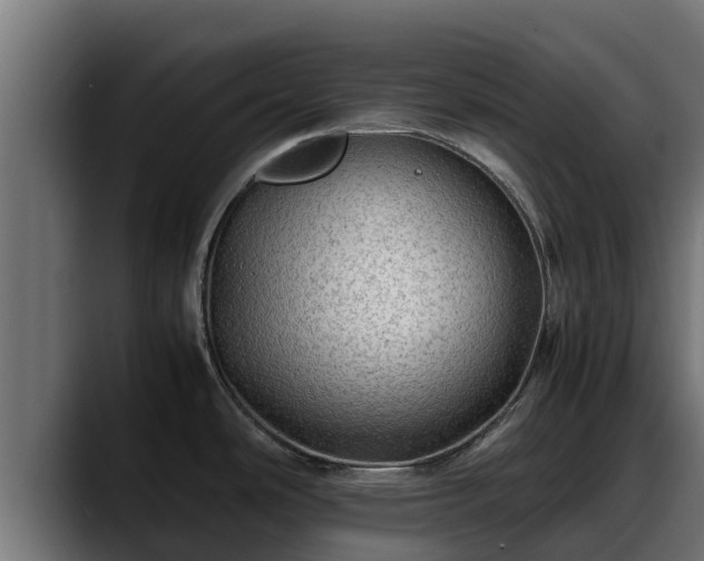 X0000088371486200705291317