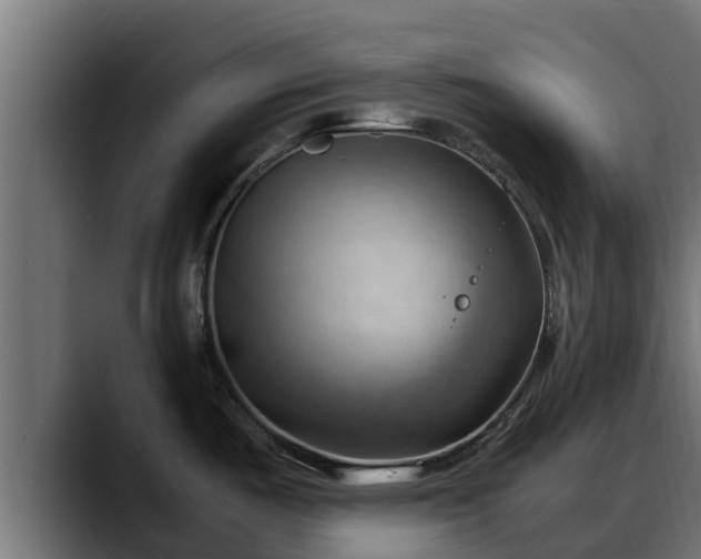 X0000088371487200705291317