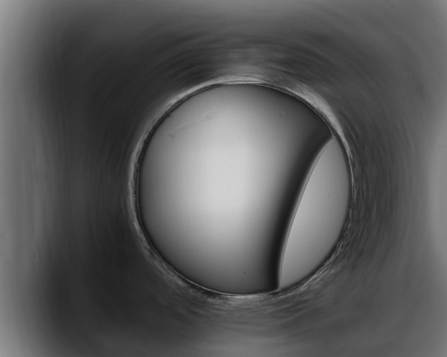X0000088371488200705291317