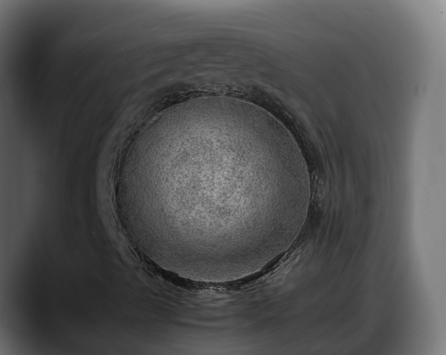 X0000088371489200705291317