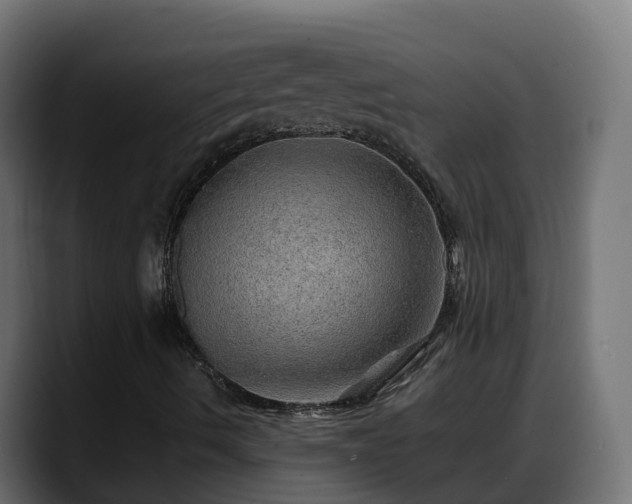 X0000088371490200705291317