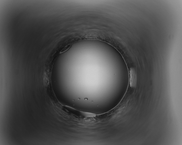 X0000088371491200705291317
