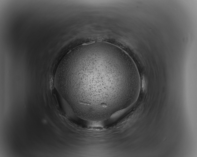 X0000088371492200705291317