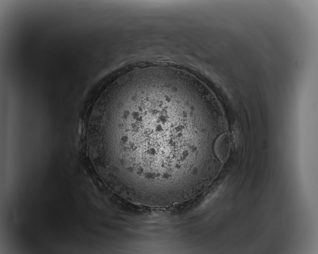 X0000088371494200705291317