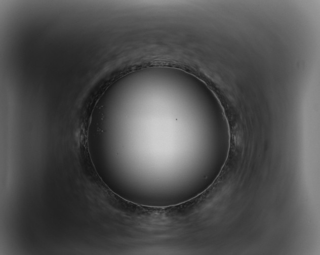 X0000088371495200705291317