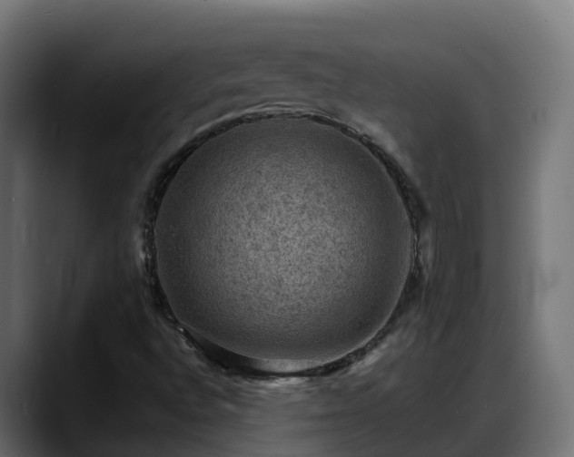 X0000088371496200705291317
