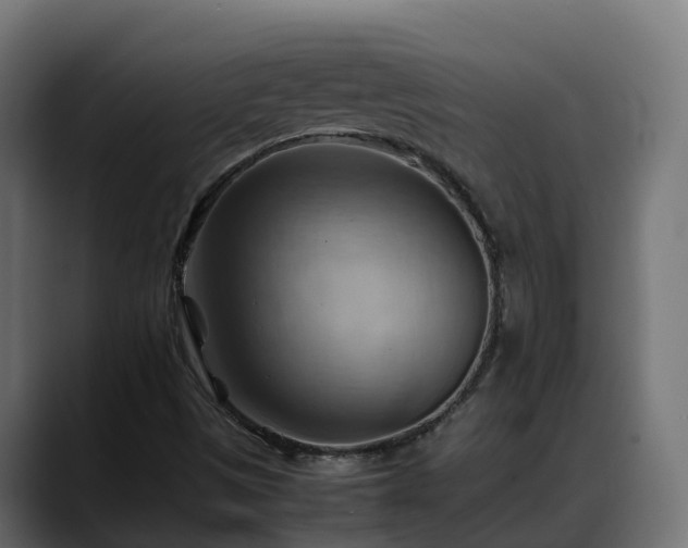 X0000088371497200705291317