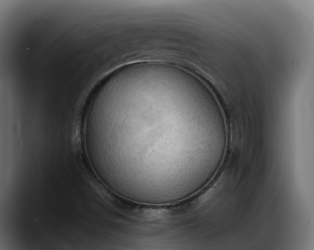 X0000088371498200705291317