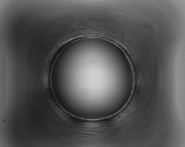 X0000088371499200705291317