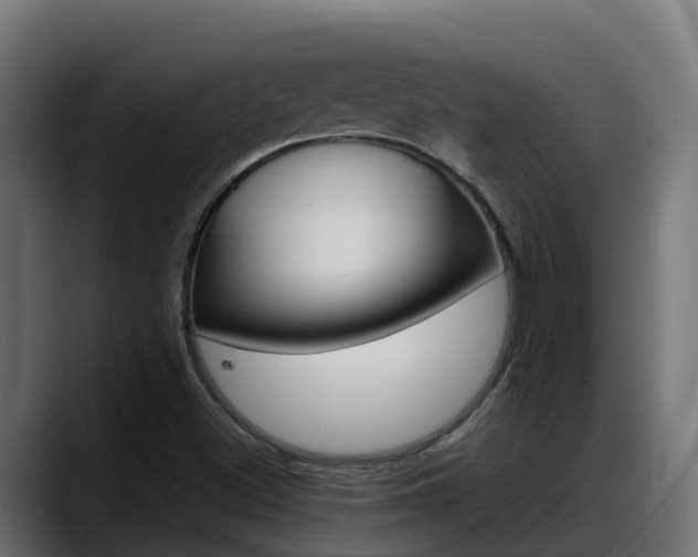 X0000088371500200705291317