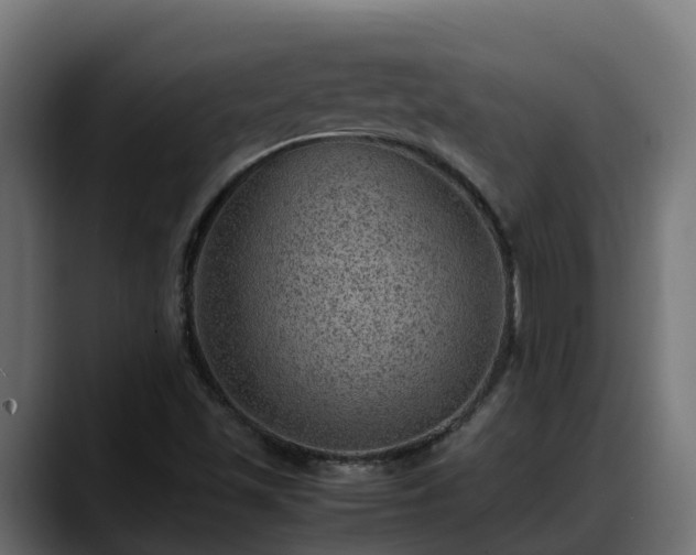 X0000088371501200705291317
