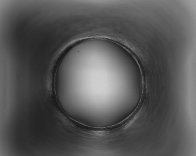 X0000088371502200705291317