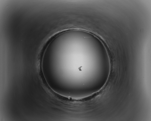 X0000088371503200705291317