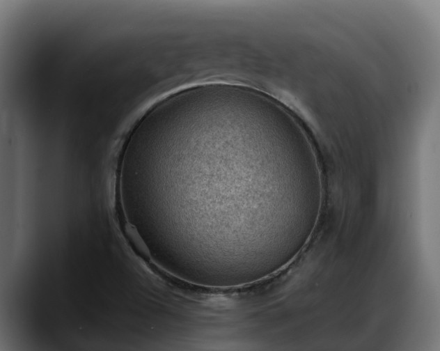 X0000088371504200705291317