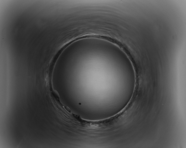 X0000088371505200705291317