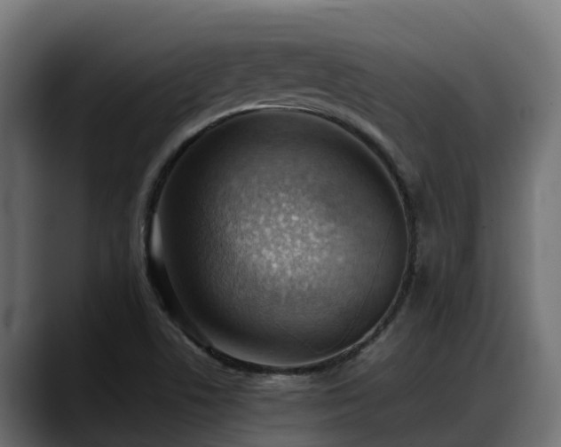 X0000088371506200705291317