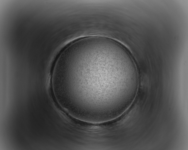 X0000088371507200705291317