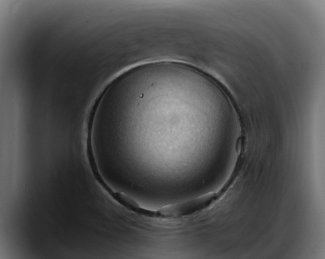 X0000088371508200705291317