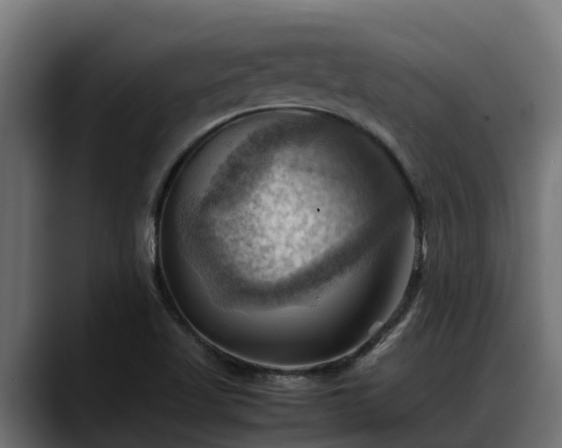 X0000088371509200705291317