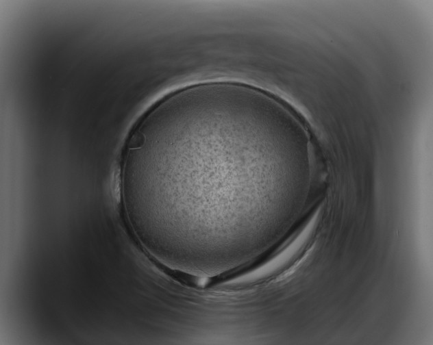 X0000088371510200705291317