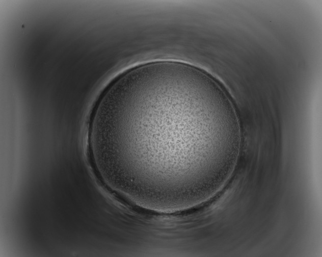 X0000088371511200705291317