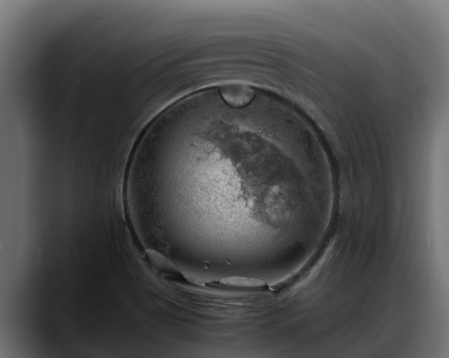 X0000088371513200705291317