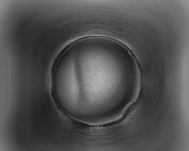 X0000088371515200705291317