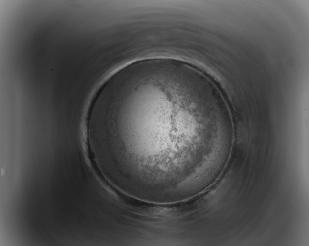 X0000088371517200705291317