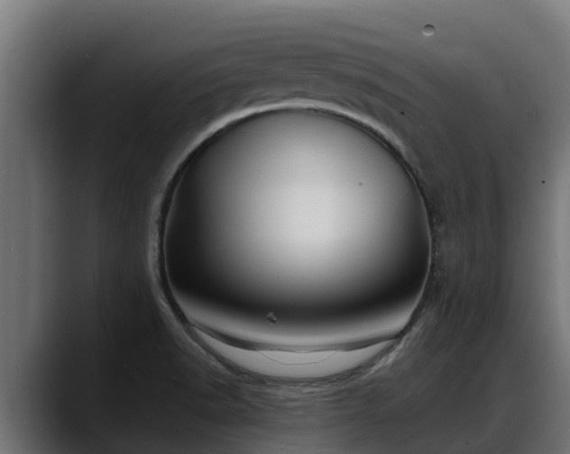 X0000088371518200705291317