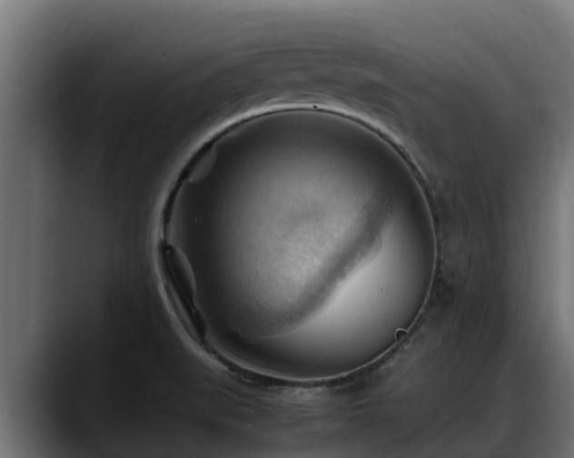 X0000088371519200705291317
